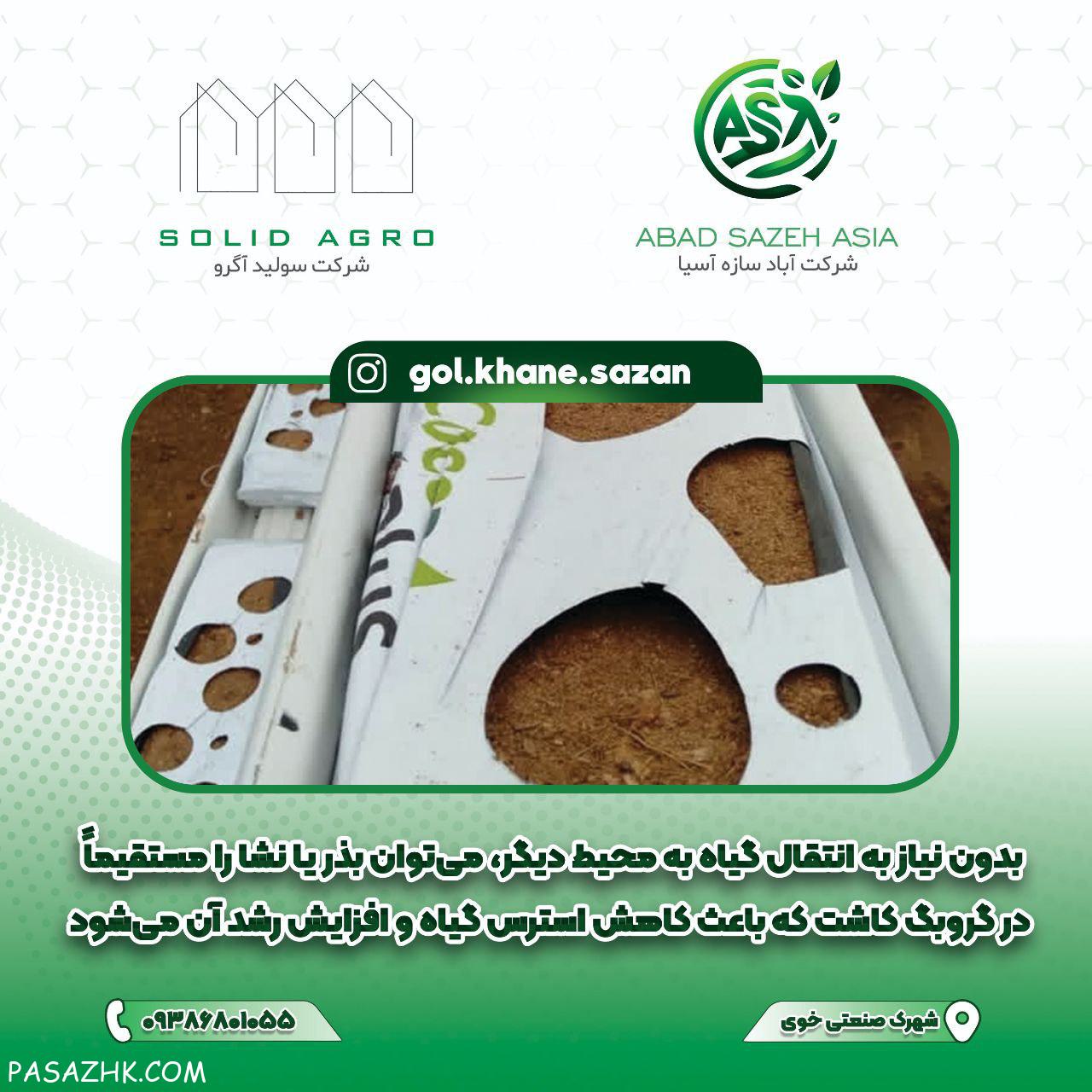 کیسه گروبک سریلانکا