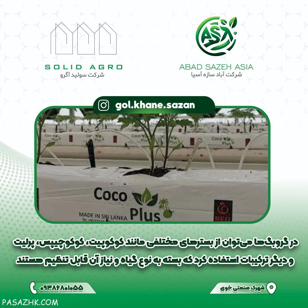 کیسه گروبک سریلانکا