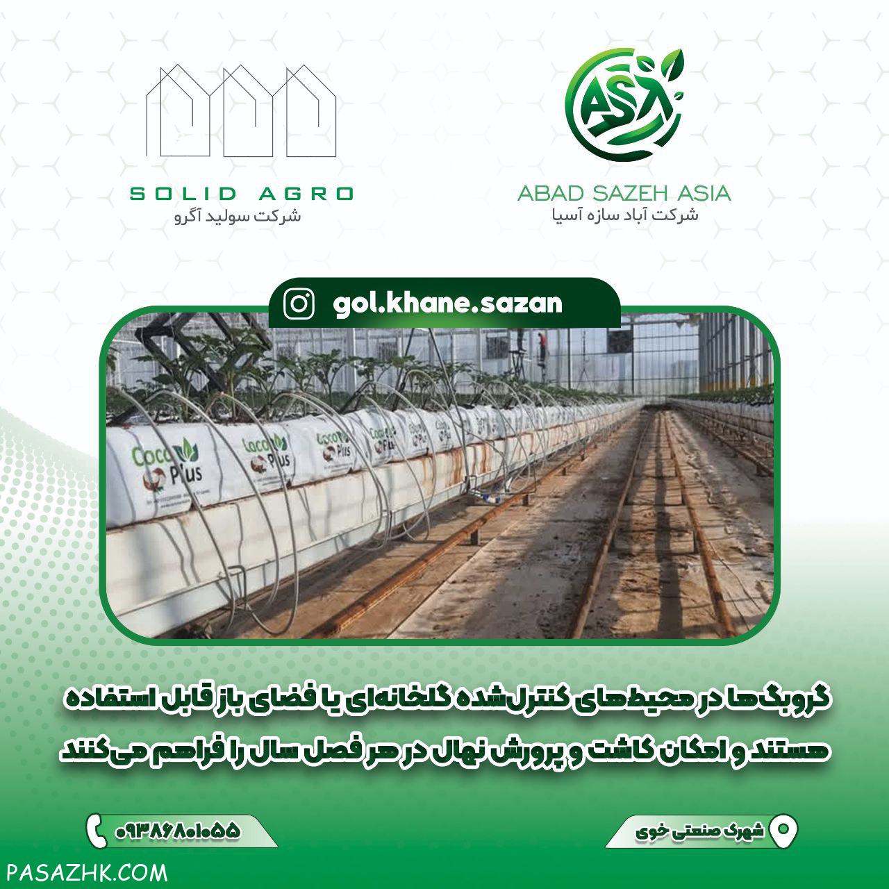 کیسه گروبک سریلانکا