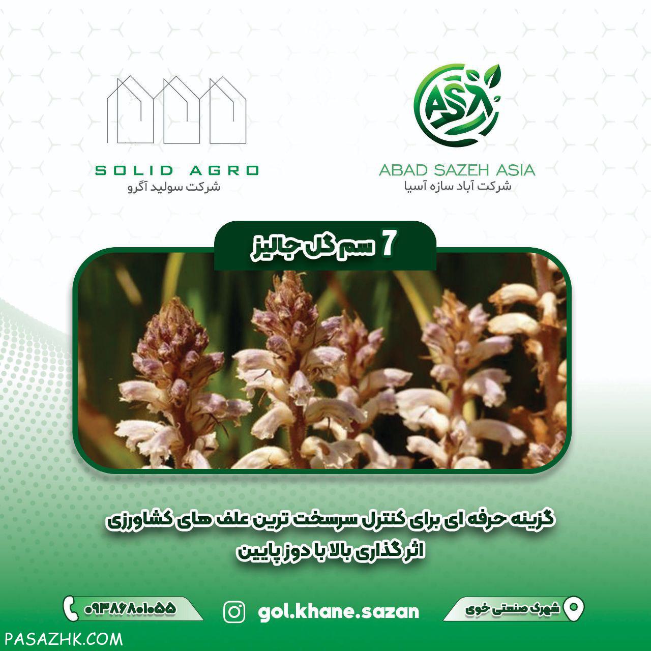 علف کش گل جالیز