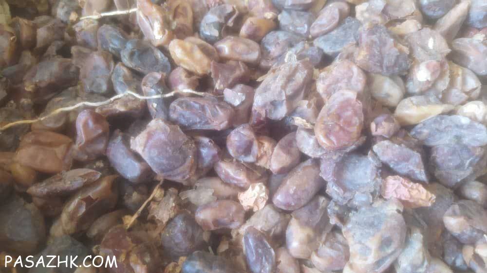 فروش خرمای ضایعاتی و صادراتی بم