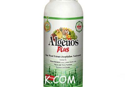 آلجیوس-پلاس