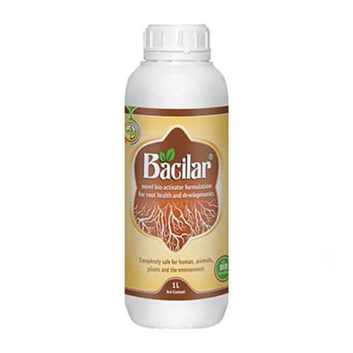 کود محرک ریشه باسیلار