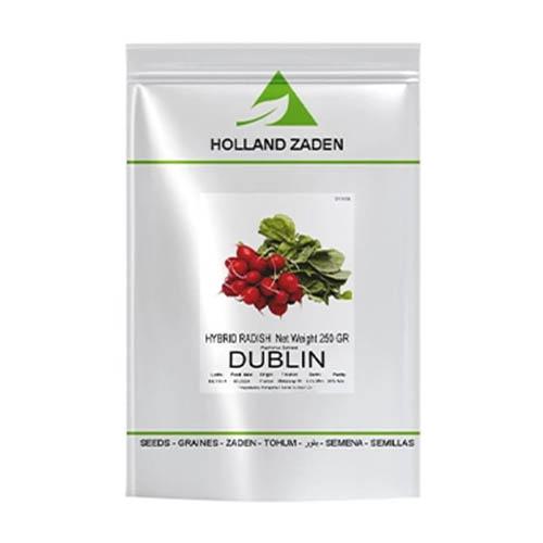 بذر تربچه هیبرید دابلین هلند زادن