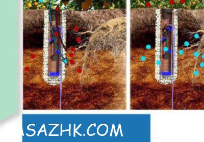 inbound5263373962621542483