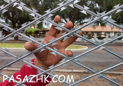 IMG_20240111_115416_038