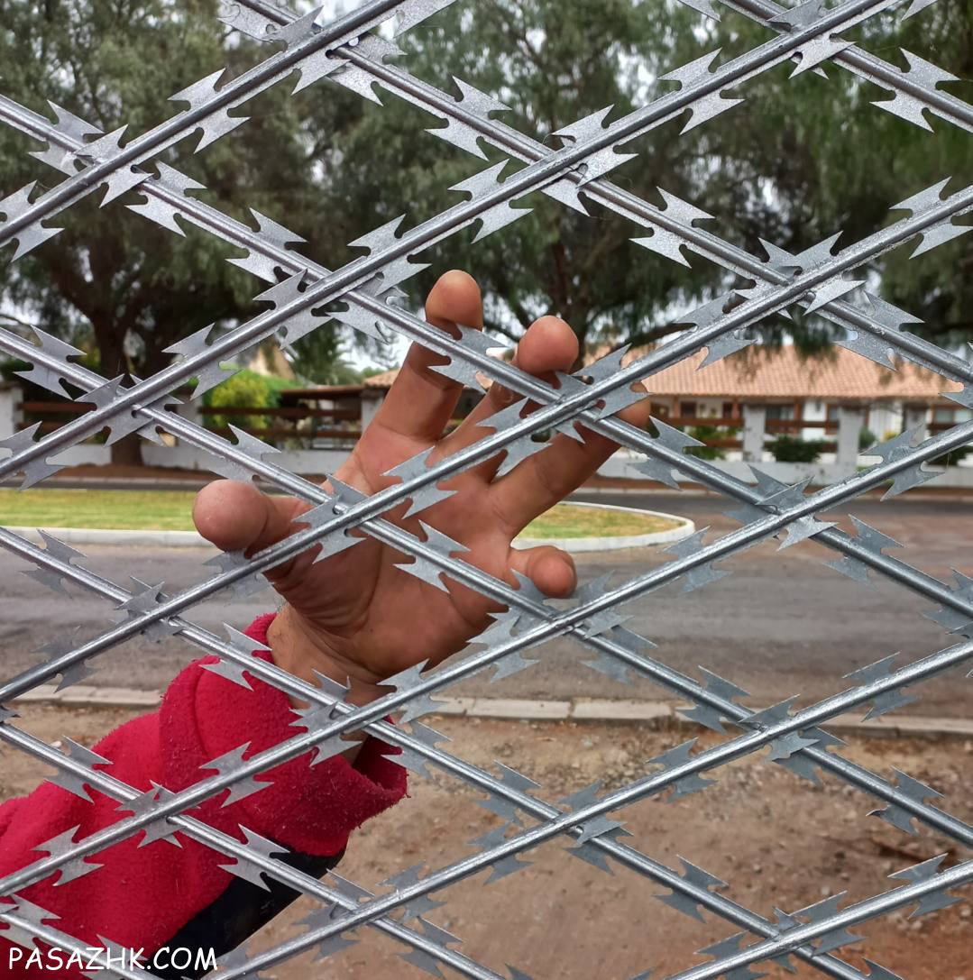 فنس تیغ دار تیکان