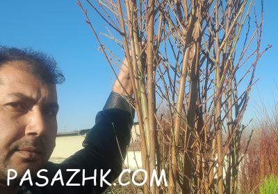 inbound5604971180735019642