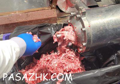 motion_photo_3057933489285468525