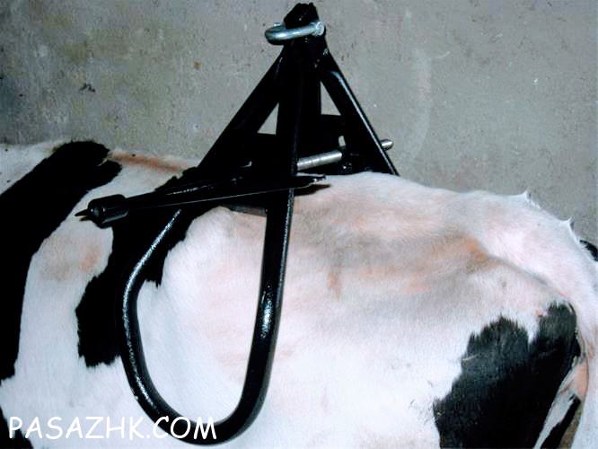 جک بلند کننده گاو
